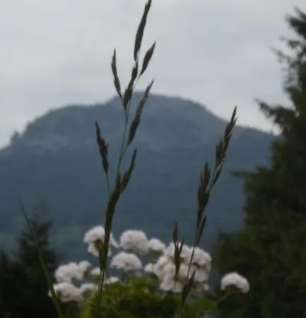 Chambres D'hotes Le Fougal Bed & Breakfast